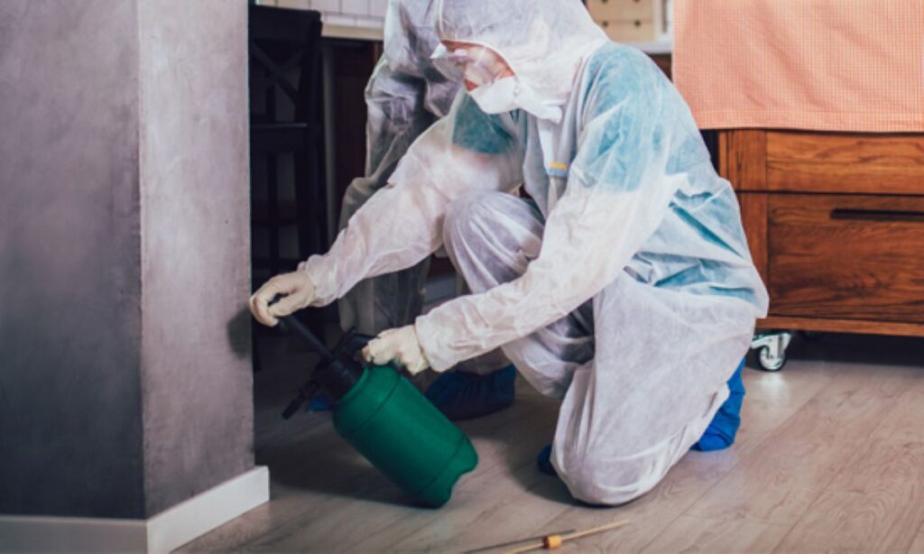 Pest Services Sydney